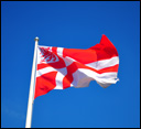 Weststellingwerf_vlag